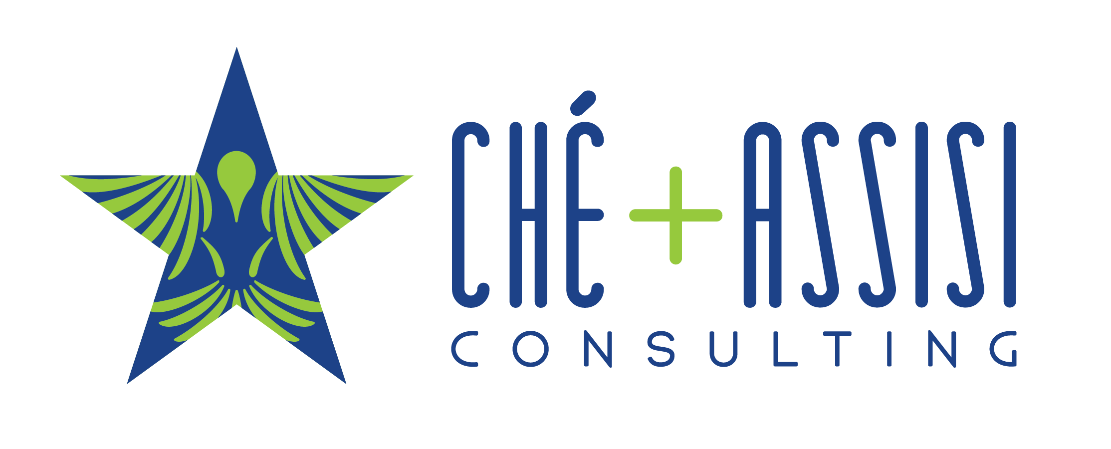 CheAssisi Consulting